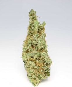 Organic Chocolope Kush Flowers Buy Weed Online Organic Chocolope Kush Flowers Buy Weed Online