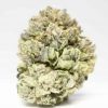 Headband – AAAA Flowers Buy Weed Online Headband – AAAA Flowers Buy Weed Online