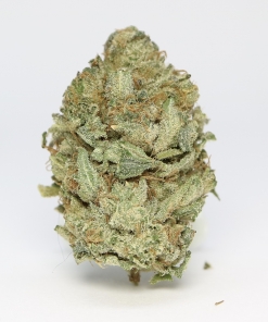 GG#1 Flowers Buy Weed Online GG#1 Flowers Buy Weed Online