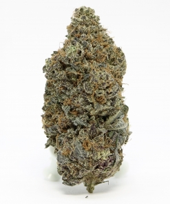 Organic Blue King Flowers Buy Weed Online Organic Blue King Flowers Buy Weed Online