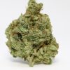 Seaweed – A Best Sellers Buy Weed Online Seaweed – A Best Sellers Buy Weed Online