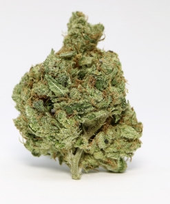 Oregon Golden Goat Flowers Buy Weed Online Oregon Golden Goat Flowers Buy Weed Online
