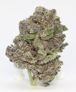 Purple Goddess Big Bag Specials Buy Weed Online Purple Goddess Big Bag Specials Buy Weed Online