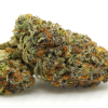 AA Pink Kush Smalls Flowers Buy Weed Online AA Pink Kush Smalls Flowers Buy Weed Online