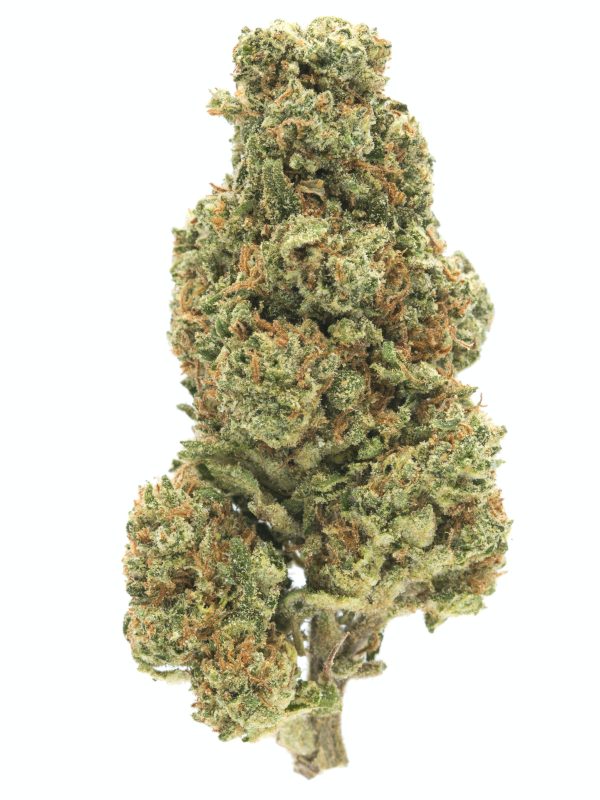 AA+ Blue Dream Budget Buds Buy Weed Online