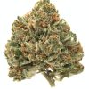 Citrus Diesel Budget Buds Buy Weed Online Citrus Diesel Budget Buds Buy Weed Online