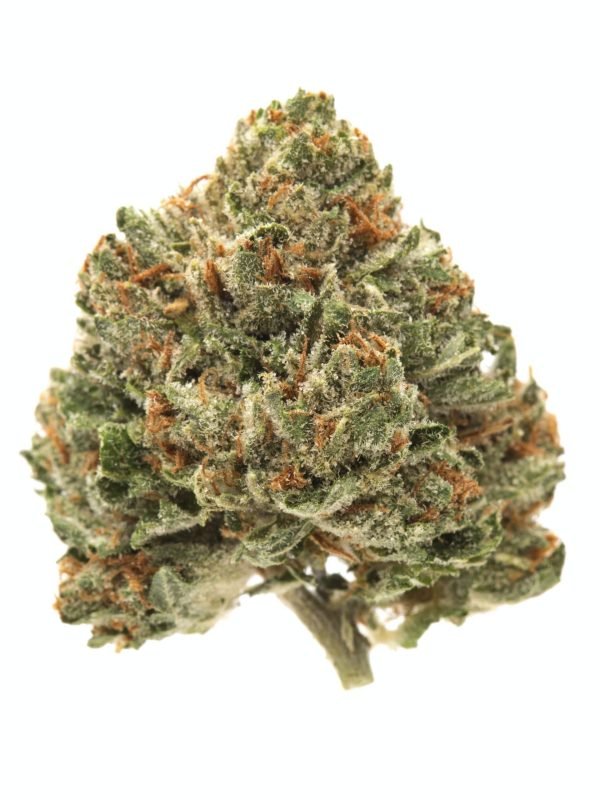 Master Kush Budget Buds Buy Weed Online