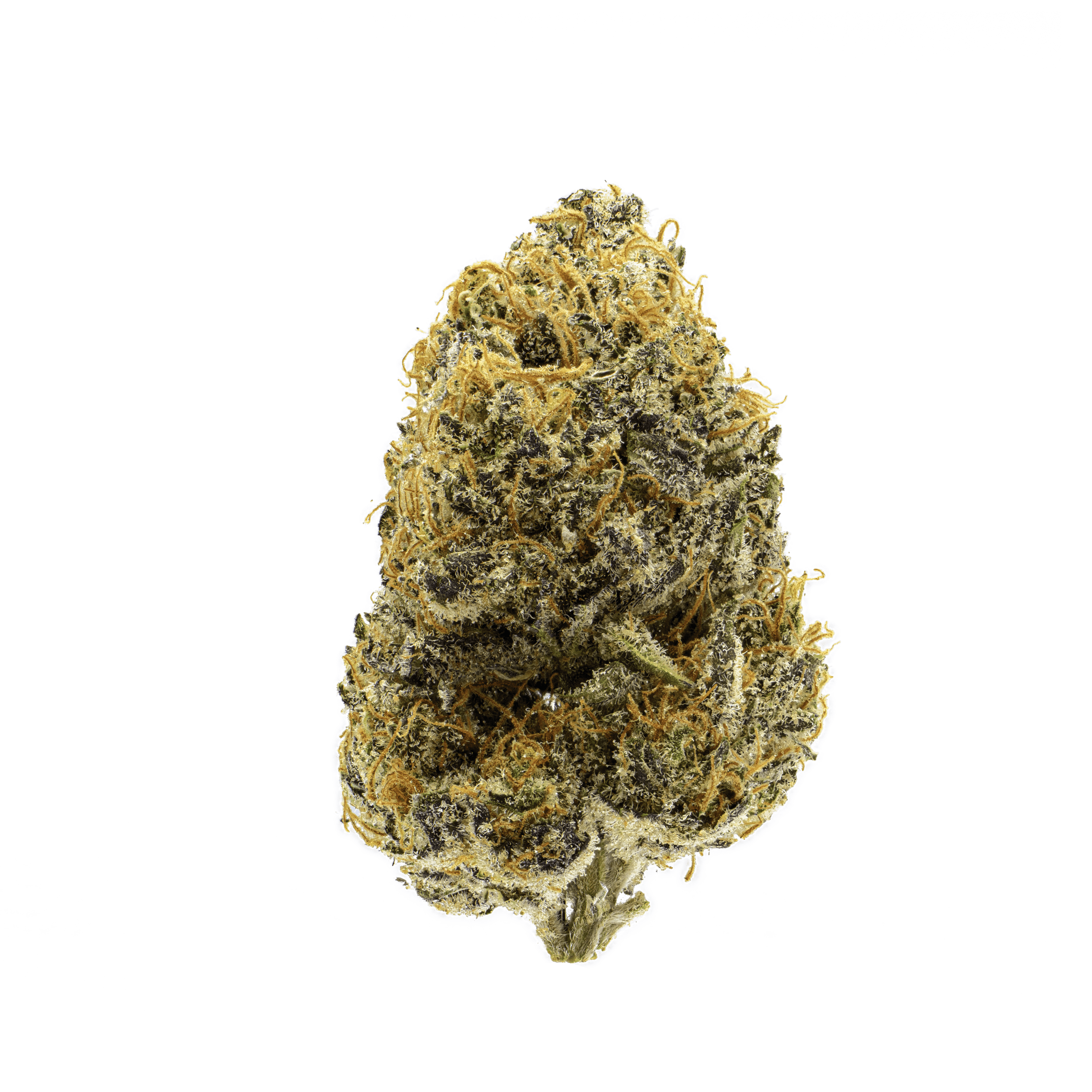 Lemon OG Budget Buds Buy Weed Online Lemon OG Budget Buds Buy Weed Online