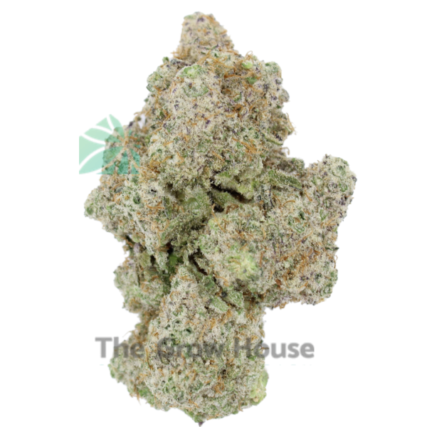 AAAA London Poundcake by Cookies Indica Buy Weed Online