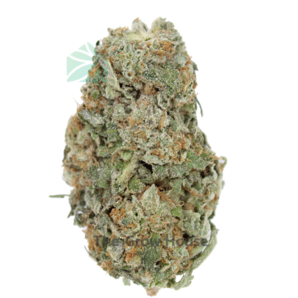 2 OUNCE DEAL – Best Friend OG Budget Buds Buy Weed Online