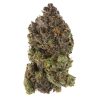 ⛽ AAAA Blue Fin Tuna – By Green Genetics Best Sellers Buy Weed Online ⛽ AAAA Blue Fin Tuna – By Green Genetics Best Sellers Buy Weed Online