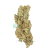 Cookie Jar Budget Buds Buy Weed Online Cookie Jar Budget Buds Buy Weed Online