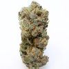Pink Panties Hybrid Buy Weed Online Pink Panties Hybrid Buy Weed Online