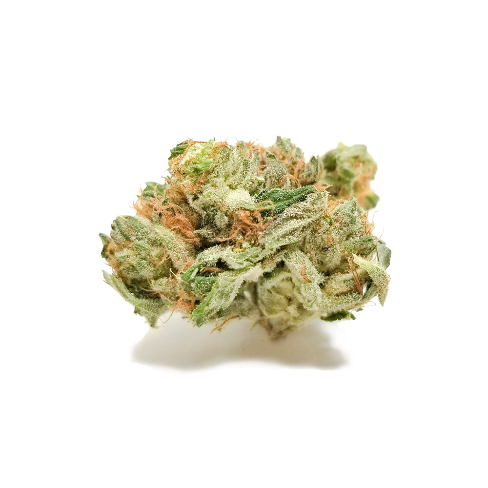 Blue Dream (Smalls) Budget Buds Buy Weed Online Blue Dream (Smalls) Budget Buds Buy Weed Online