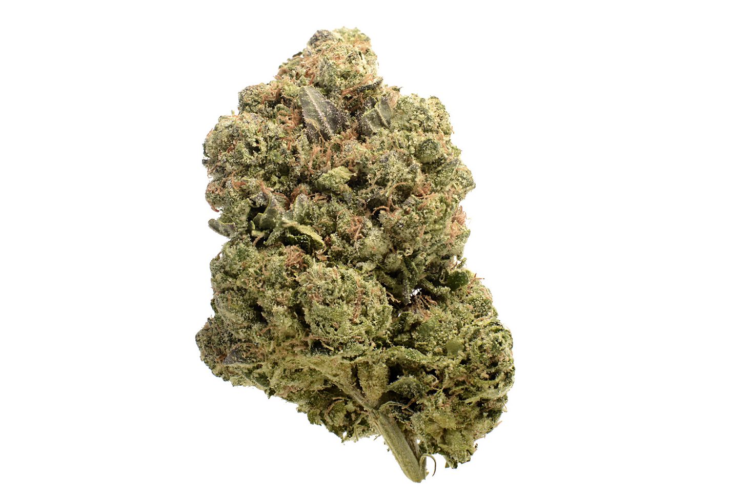 Cookie Jar Budget Buds Buy Weed Online Cookie Jar Budget Buds Buy Weed Online