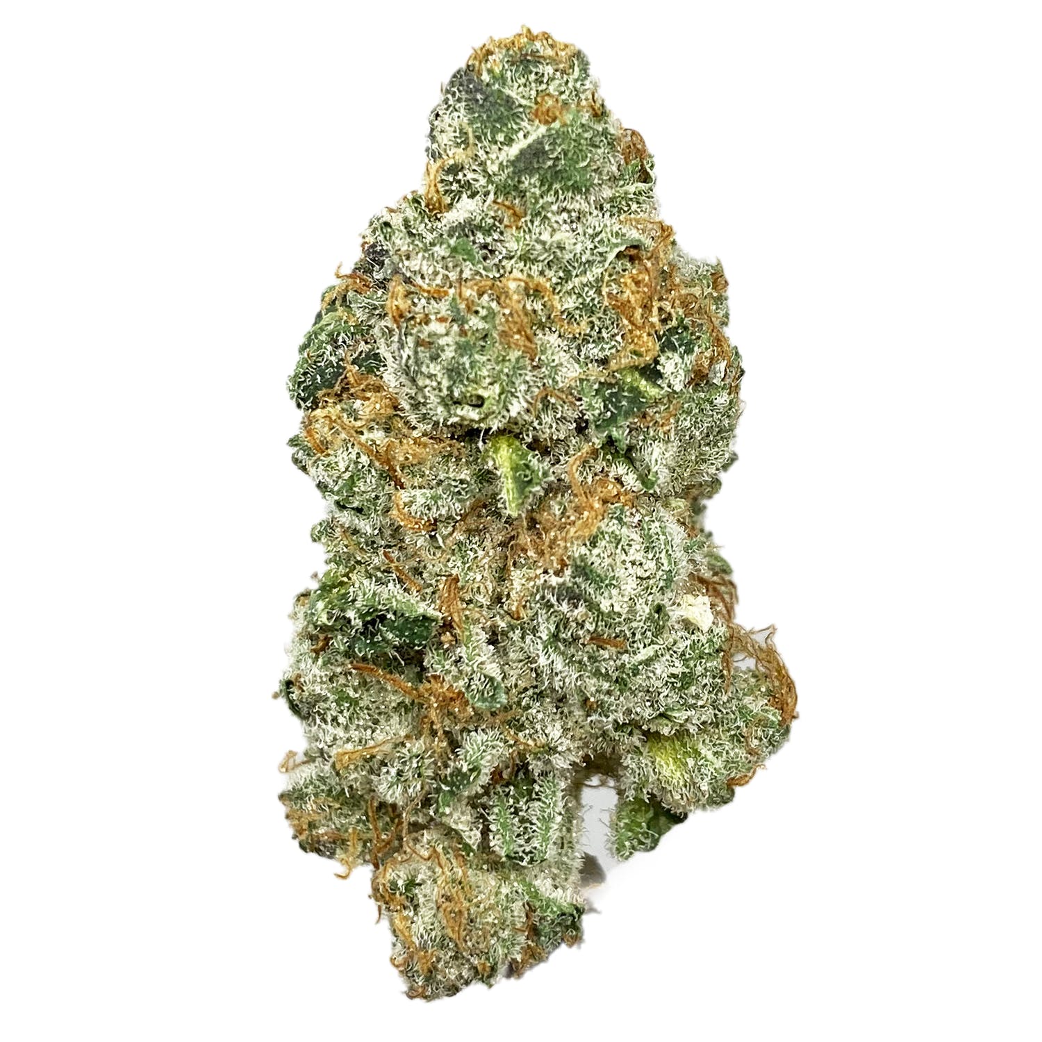 Dolce Gelato Hybrid Buy Weed Online Dolce Gelato Hybrid Buy Weed Online