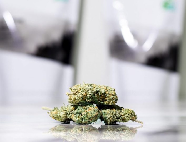 Chernobyl Hybrid Buy Weed Online Chernobyl Hybrid Buy Weed Online