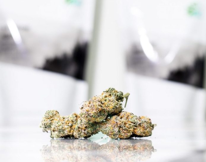 AAAA Gelato #41 Hybrid Buy Weed Online AAAA Gelato #41 Hybrid Buy Weed Online