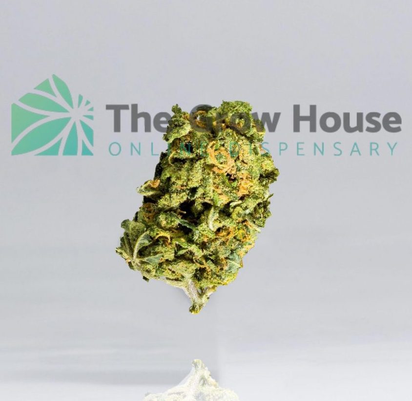 Pink Gas Budget Buds Buy Weed Online Pink Gas Budget Buds Buy Weed Online