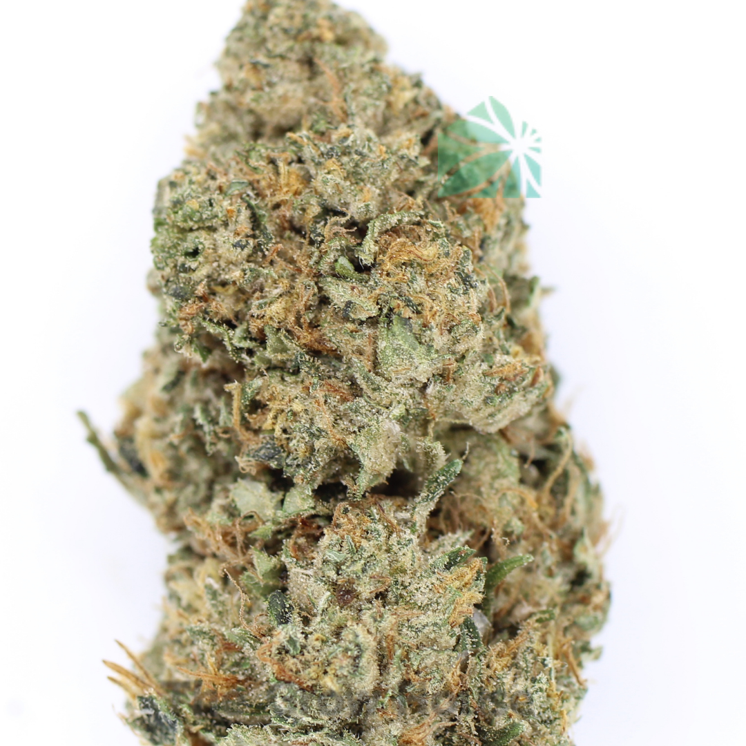 2 Ounce Deal – El Jefe Budget Buds Buy Weed Online 2 Ounce Deal – El Jefe Budget Buds Buy Weed Online