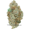 A+ Zeus OG Budget Buds Buy Weed Online A+ Zeus OG Budget Buds Buy Weed Online