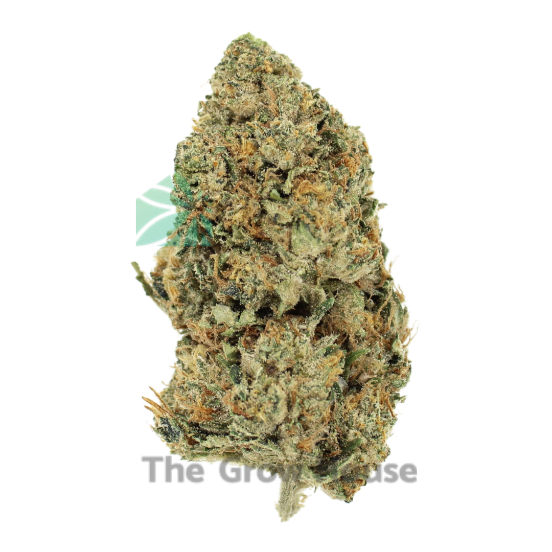 2 Ounce Deal – El Jefe Budget Buds Buy Weed Online 2 Ounce Deal – El Jefe Budget Buds Buy Weed Online