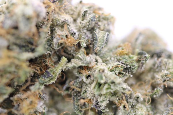 AAAA Train-wreck Indica Buy Weed Online