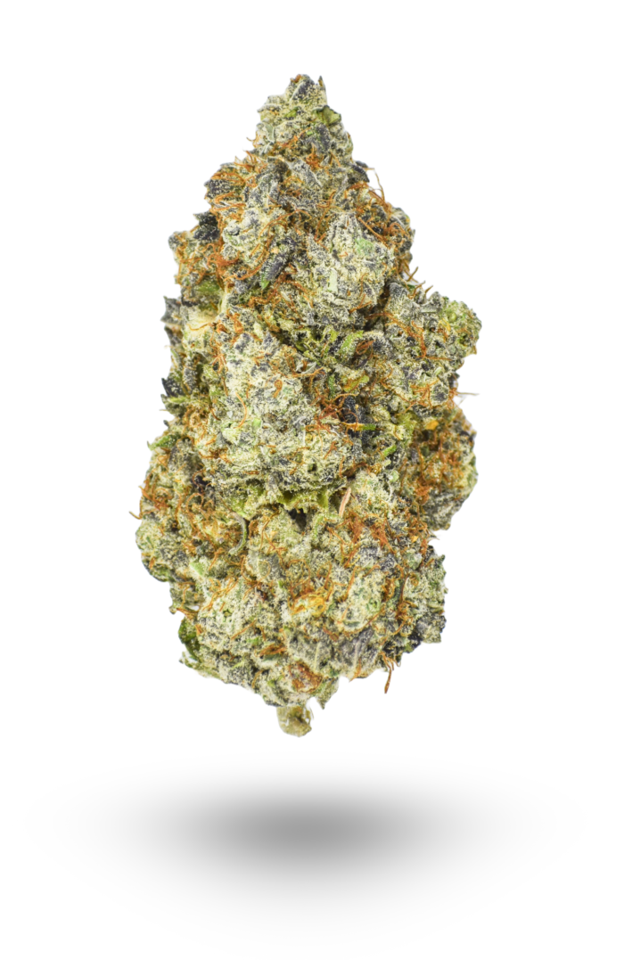 đCannabis Cup: AAAA Kombucha By KOOTENAY Exotics Hybrid Buy Weed Online đCannabis Cup: AAAA Kombucha By KOOTENAY Exotics Hybrid Buy Weed Online