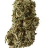 AAA King Louis Indica Buy Weed Online AAA King Louis Indica Buy Weed Online