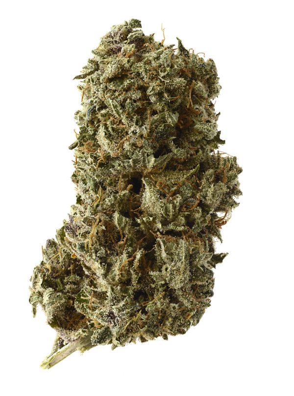 Herijuana Budget Buds Buy Weed Online