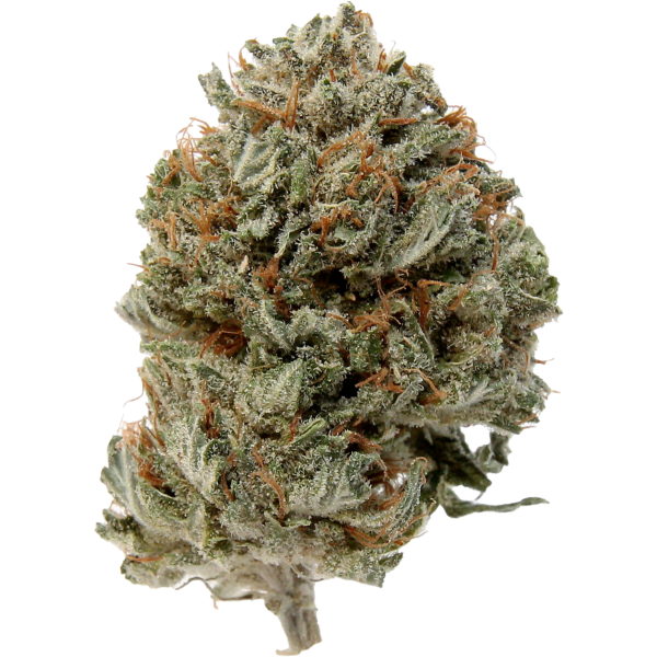 Grandfather OG Indica Buy Weed Online