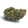 A+ Tangerine Dream budget buds Buy Weed Online A+ Tangerine Dream budget buds Buy Weed Online