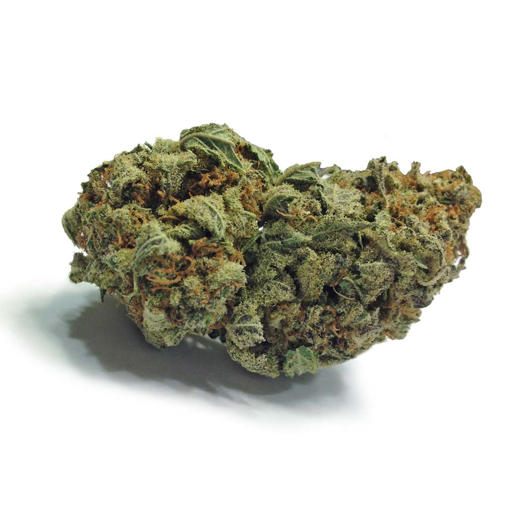 AAAA Timmy’s OG Shark Hybrid Buy Weed Online AAAA Timmy’s OG Shark Hybrid Buy Weed Online
