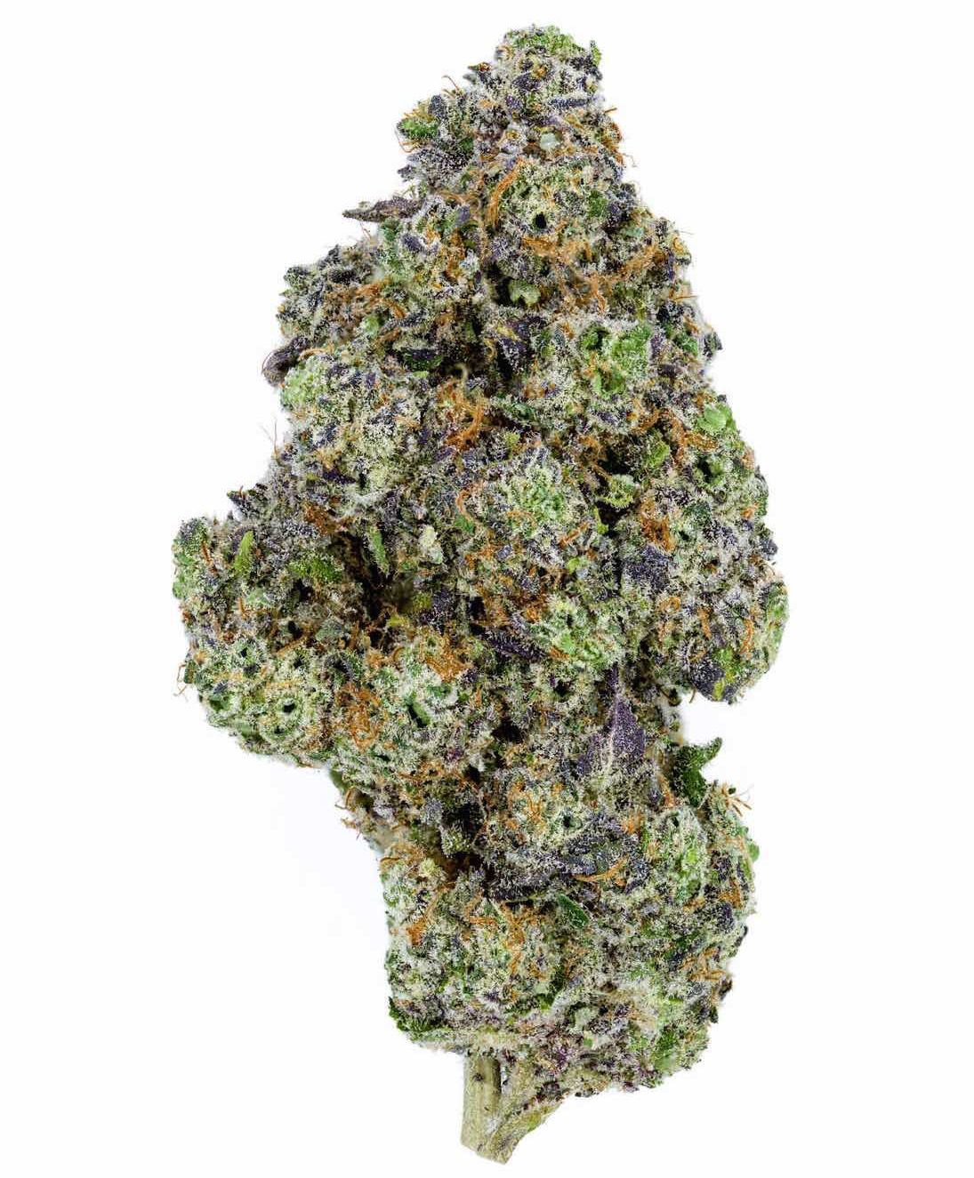 Pink Champagne Punch Hybrid Buy Weed Online Pink Champagne Punch Hybrid Buy Weed Online