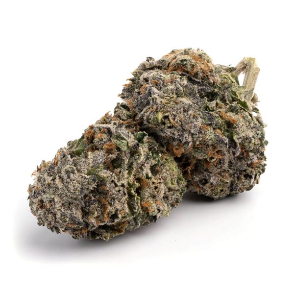 AAAA Lizard Best Sellers Buy Weed Online