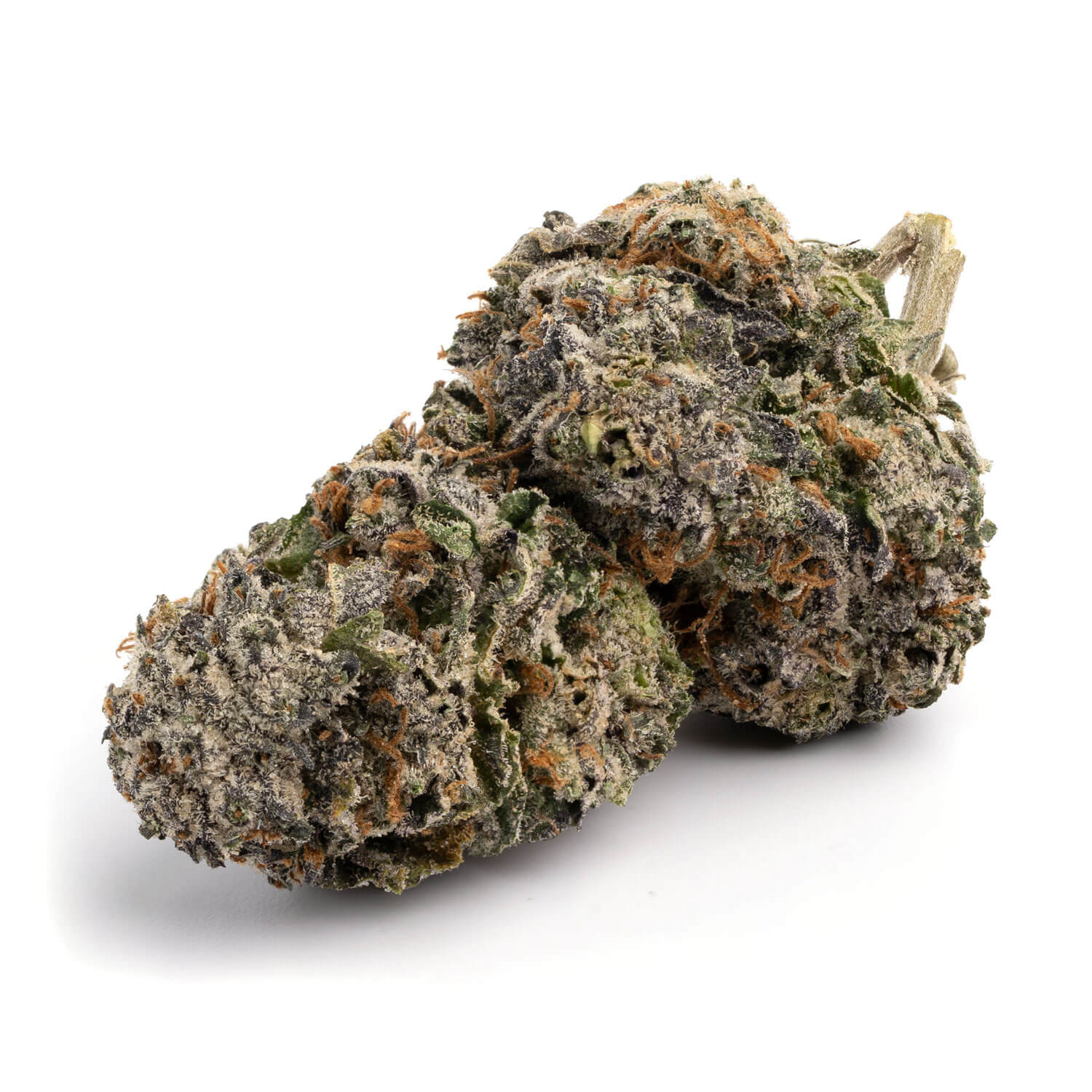 AAAA Lizard Best Sellers Buy Weed Online AAAA Lizard Best Sellers Buy Weed Online