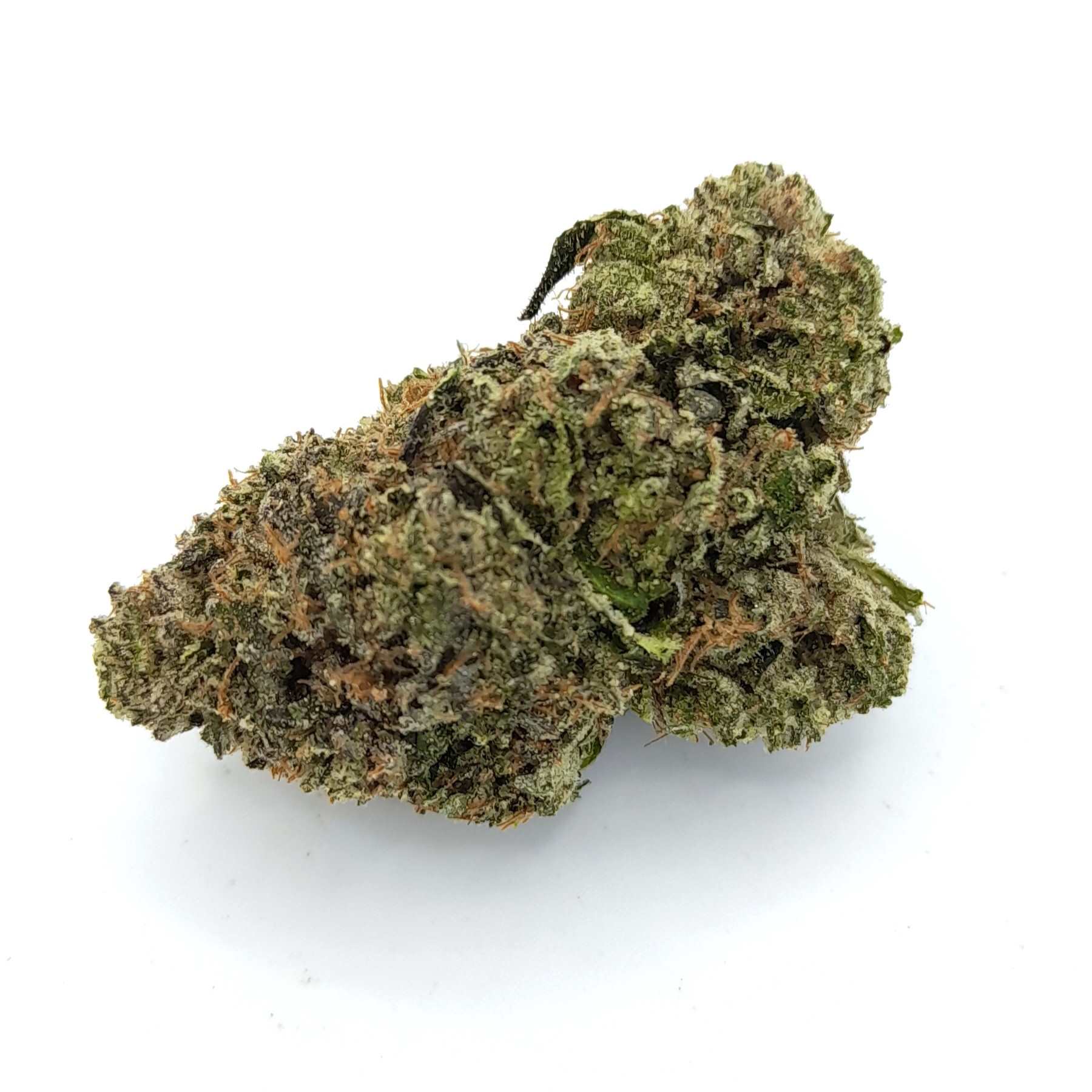 AAAA Beach Crasher By Jungle Boys Best Sellers Buy Weed Online AAAA Beach Crasher By Jungle Boys Best Sellers Buy Weed Online
