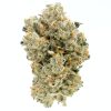 Master Kush Budget Buds Buy Weed Online Master Kush Budget Buds Buy Weed Online