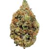 Orange Sherbet Budget Buds Buy Weed Online