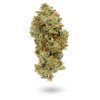 AA+ Pre-98 Bubba Kush Budget Buds Buy Weed Online AA+ Pre-98 Bubba Kush Budget Buds Buy Weed Online
