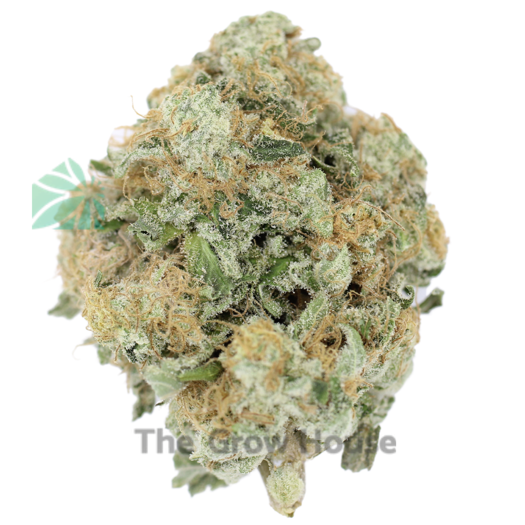 Khalifa Kush Budget Buds Buy Weed Online Khalifa Kush Budget Buds Buy Weed Online