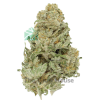 2 Ounce Deal – Master Kush Budget Buds Buy Weed Online 2 Ounce Deal – Master Kush Budget Buds Buy Weed Online