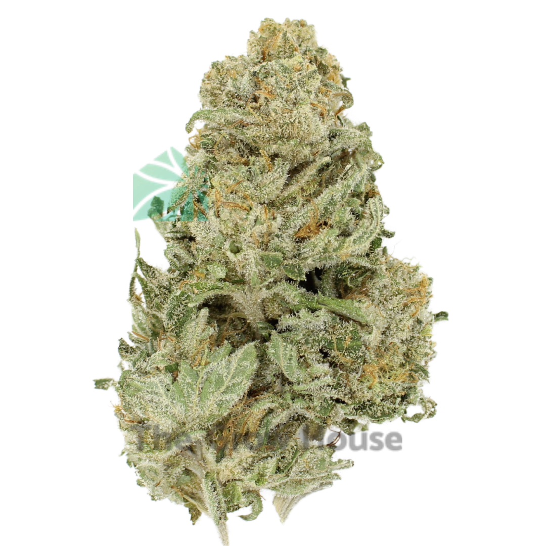 AA+ Alien Dawg Budget Buds Buy Weed Online AA+ Alien Dawg Budget Buds Buy Weed Online