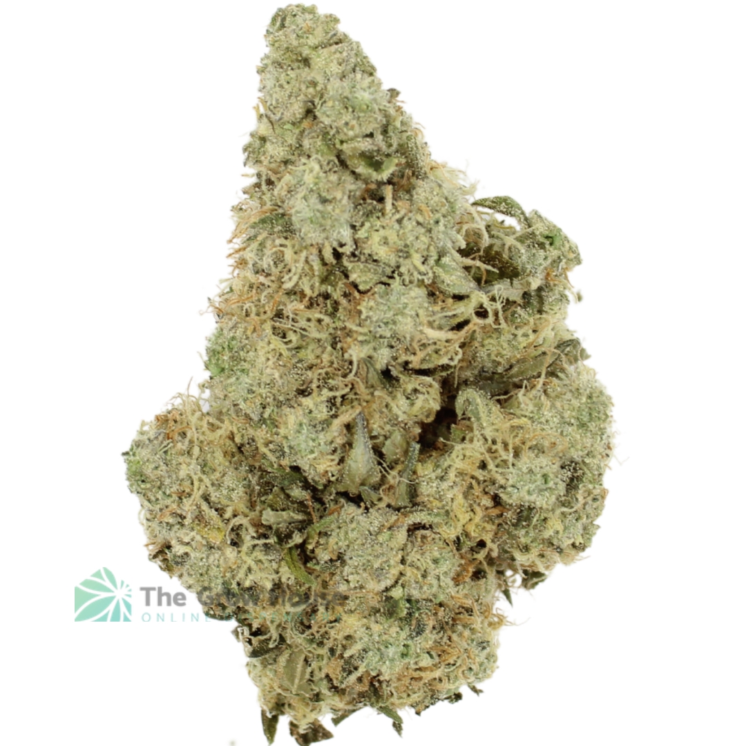 AAAA Electric Lemonade By Kelowna Craft ☀️ Hybrid Buy Weed Online AAAA Electric Lemonade By Kelowna Craft ☀️ Hybrid Buy Weed Online