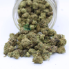 AAA Cookies By Cookies Smalls Budget Buds Buy Weed Online AAA Cookies By Cookies Smalls Budget Buds Buy Weed Online