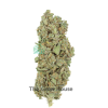AAAA Purple Freeze By Pharmcraft Indica Buy Weed Online AAAA Purple Freeze By Pharmcraft Indica Buy Weed Online