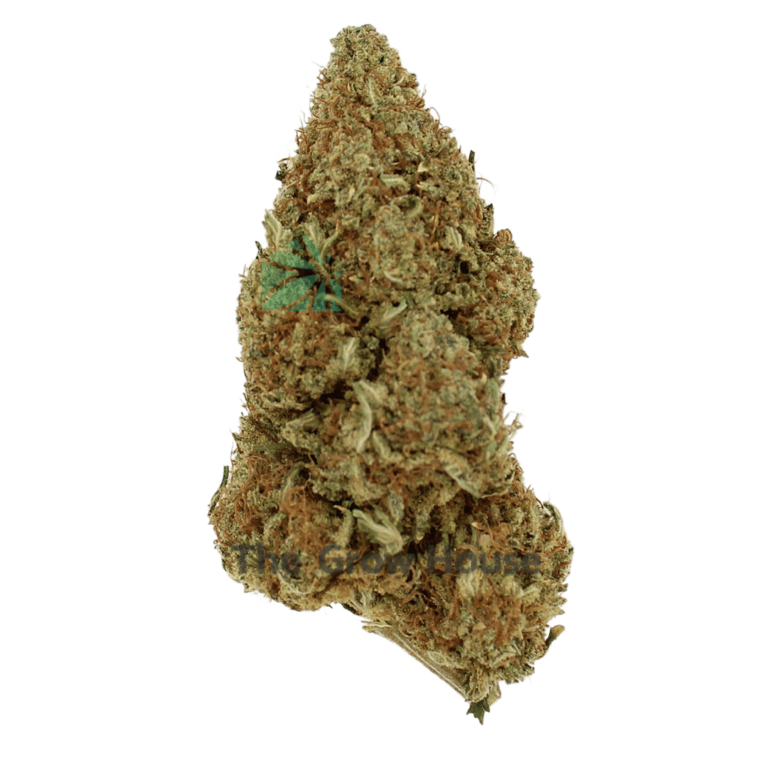 AA West Coast Og Budget Buds Buy Weed Online AA West Coast Og Budget Buds Buy Weed Online