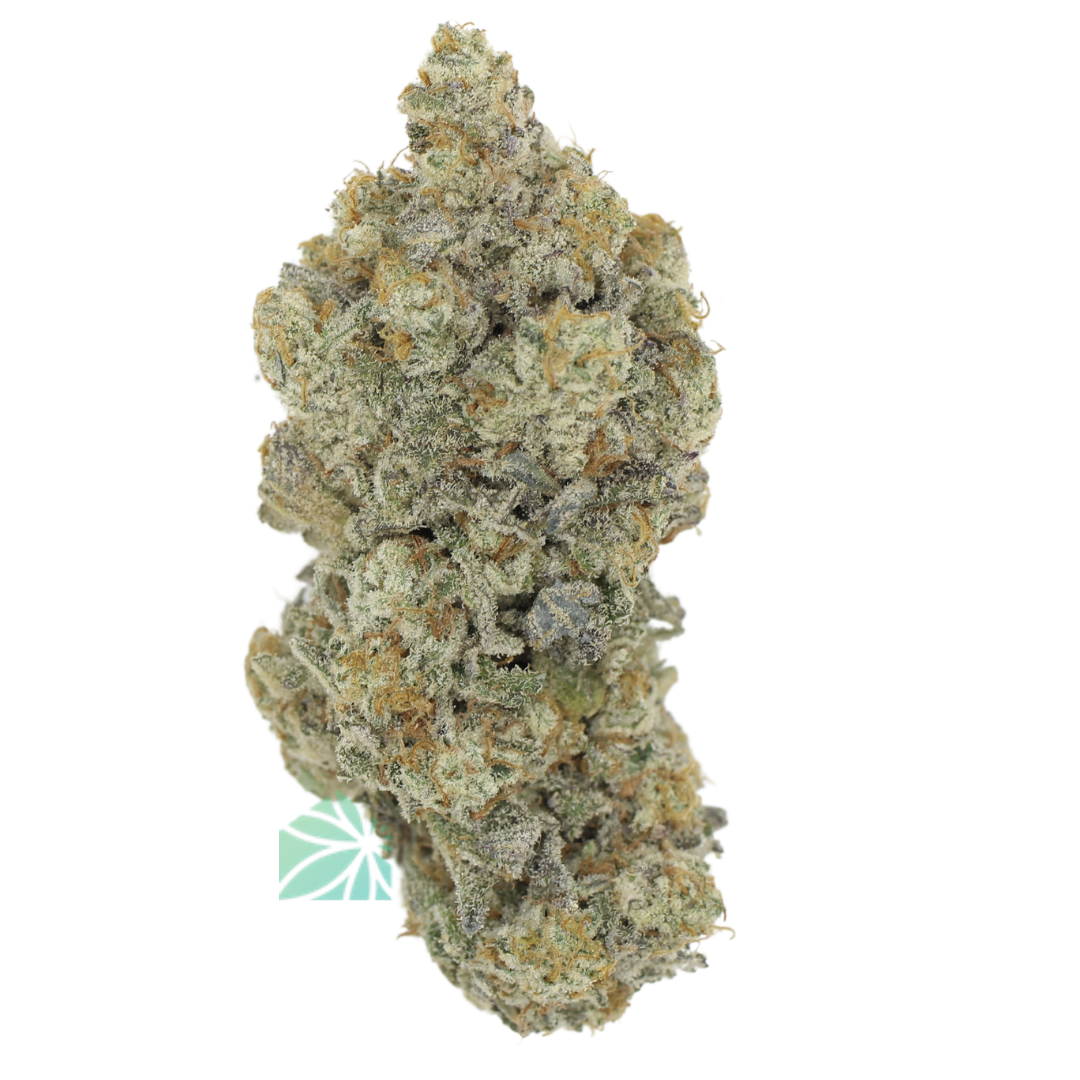 đKarma Cup Winner – AAAA Creme Brule By Kootney Exotics Best Sellers Buy Weed Online đKarma Cup Winner – AAAA Creme Brule By Kootney Exotics Best Sellers Buy Weed Online