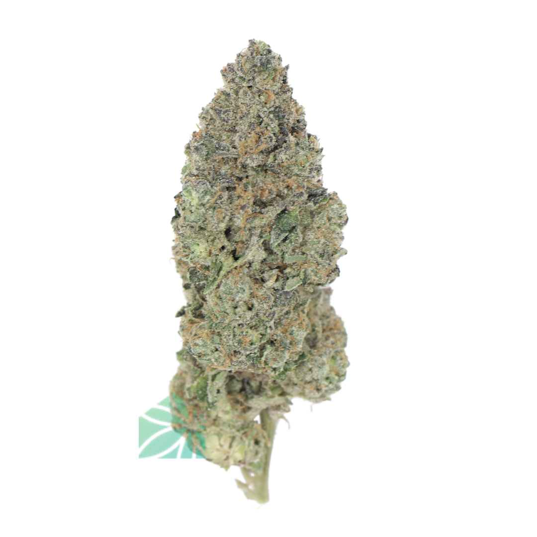 AAAA Nilla WaferZ By KOOTENAY Exotics Best Sellers Buy Weed Online AAAA Nilla WaferZ By KOOTENAY Exotics Best Sellers Buy Weed Online