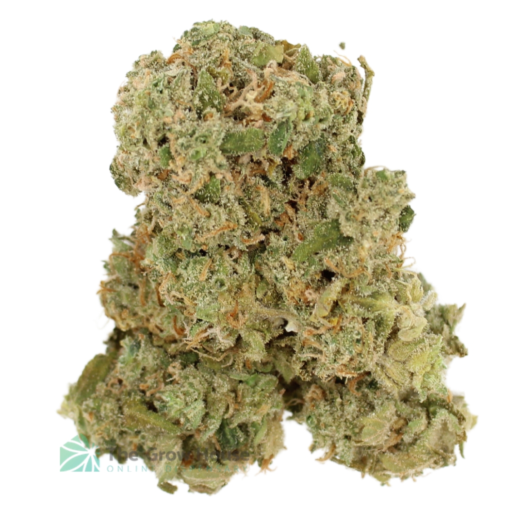 AAAA Pineapple Express By Kelowna Craft Hybrid Buy Weed Online AAAA Pineapple Express By Kelowna Craft Hybrid Buy Weed Online